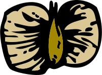 Vector image of birch seed