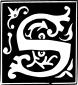 Vector illustration of decorative letter S