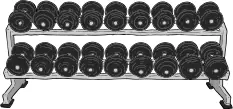 Dumbell rack color vector drawing