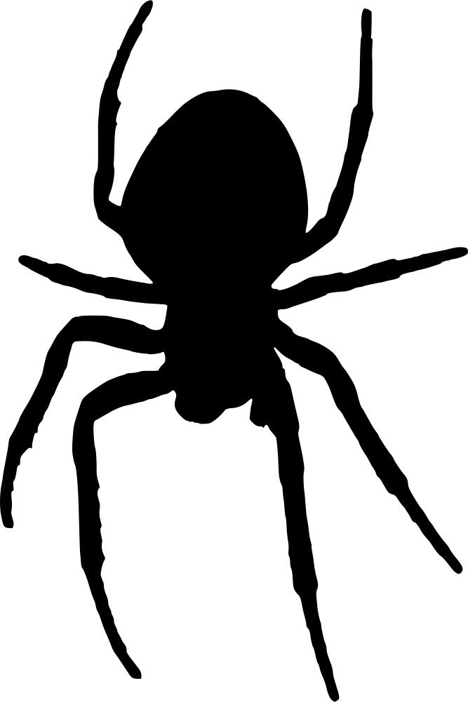 Silhouette vector image of spider