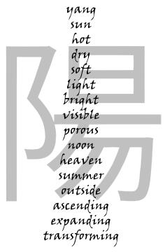 Yang properties vector drawing