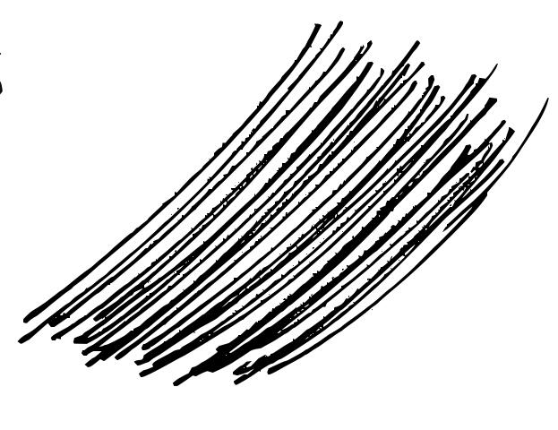 Thin hair lines vector drawing