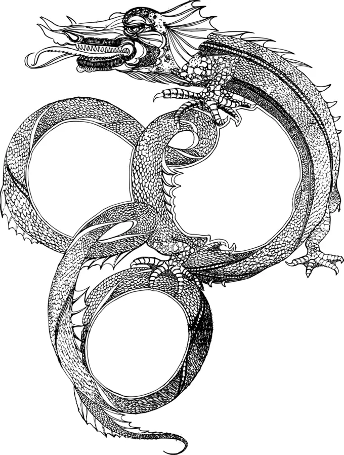 Vector graphics of Asian dragon style frame