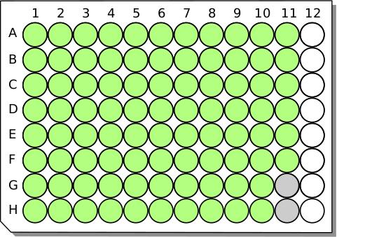96 well microplate vector image