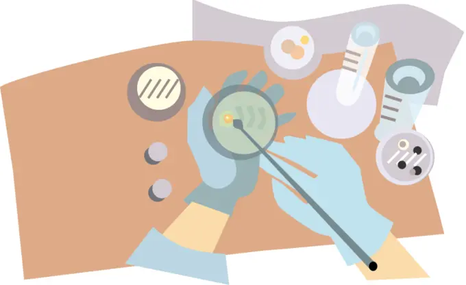 Vector graphics of microbiologist putting bacteria onto the agar plates