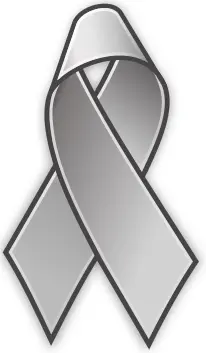 Grey lace pin vector image