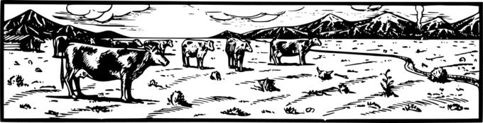 Cows on farm vector illustration