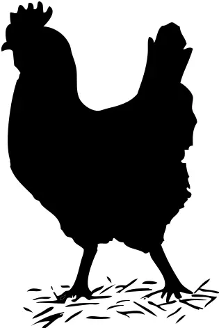 Chicken silhouette vector illustration