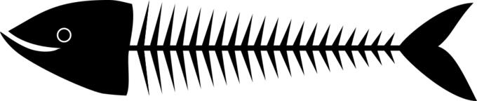 Sardine bone vector drawing