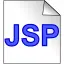 JSP page icon vector image