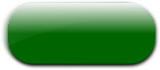 Horizontal pill shaped green button vector image