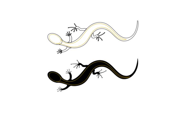 Vector graphics of lizards