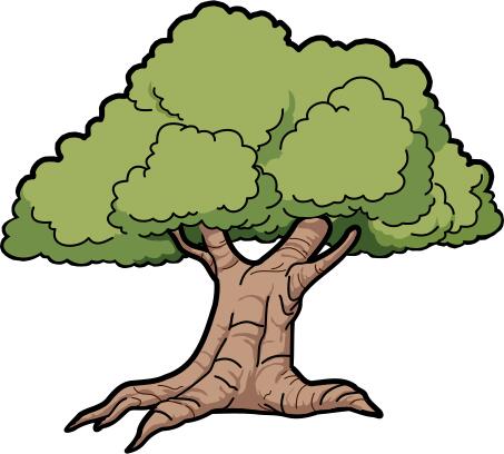 Vector graphics of wide roots oak tree