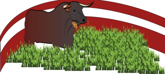 Vector graphics of bull grazing grass
