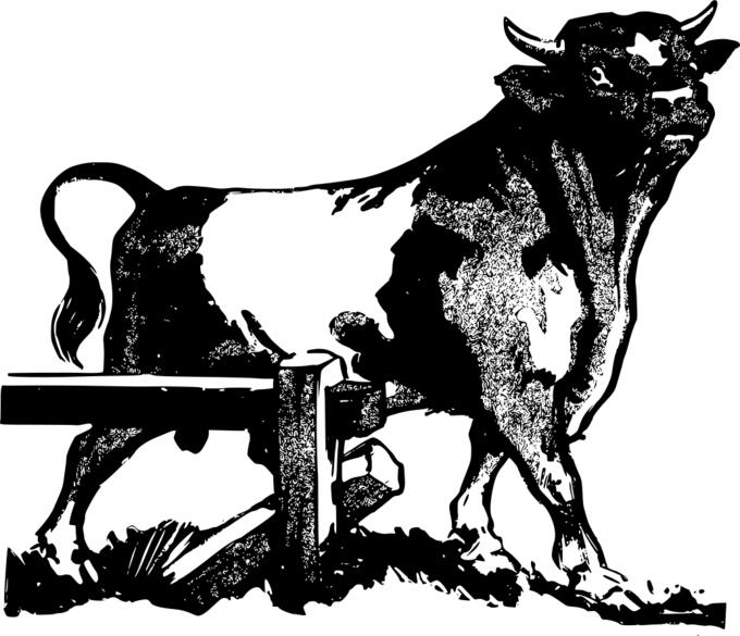 Vector clip art of bull braking fence