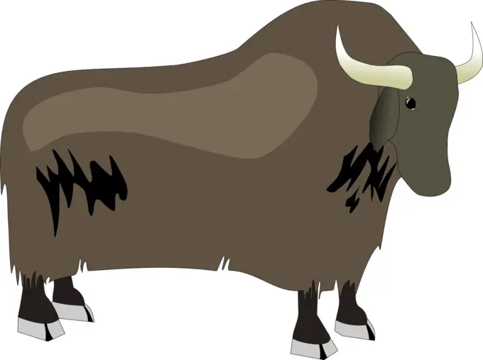 Yak vector illustration