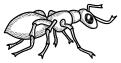 Vector drawing of black and white spotty ant