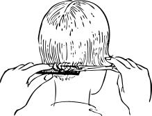 Combing hair vector illustration