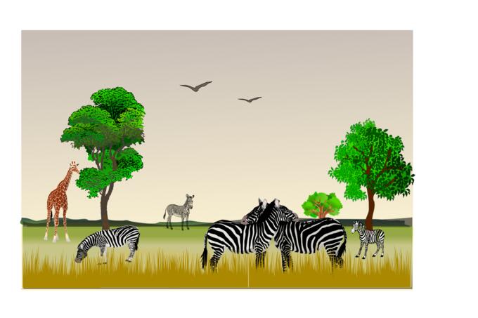 African wildlife scenery vector image