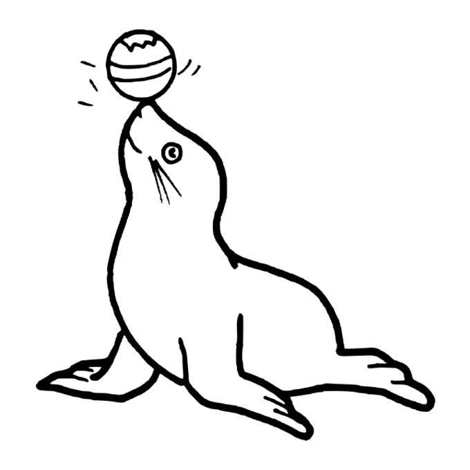 Vector illustration of circus seal
