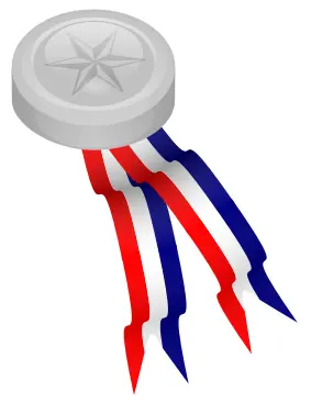 Silver medallion with blue, white and red ribbon vector image