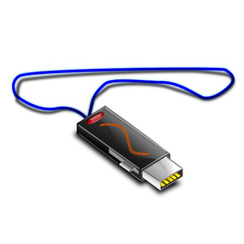 USB stick on cord vector graphics