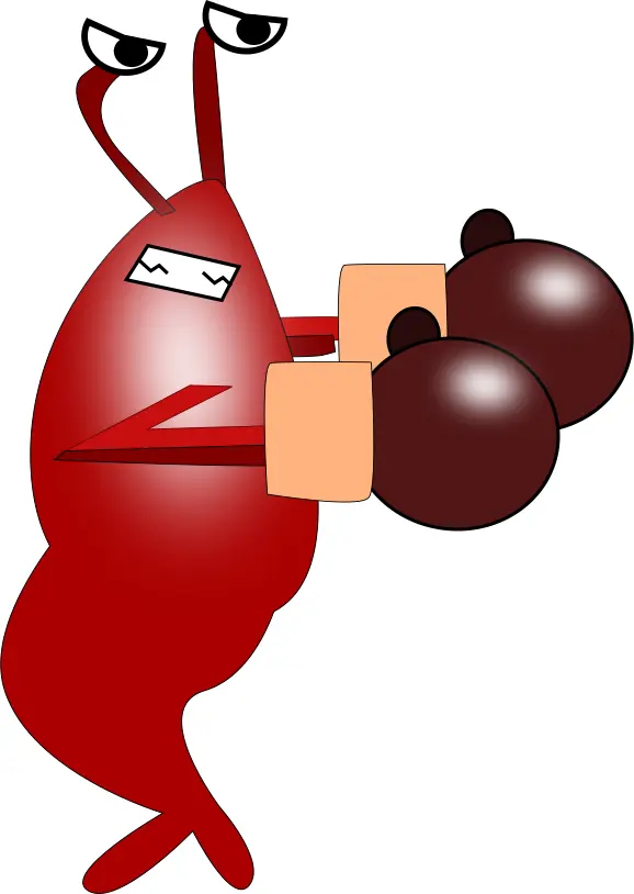 Shrimp with boxing gloves vector drawing