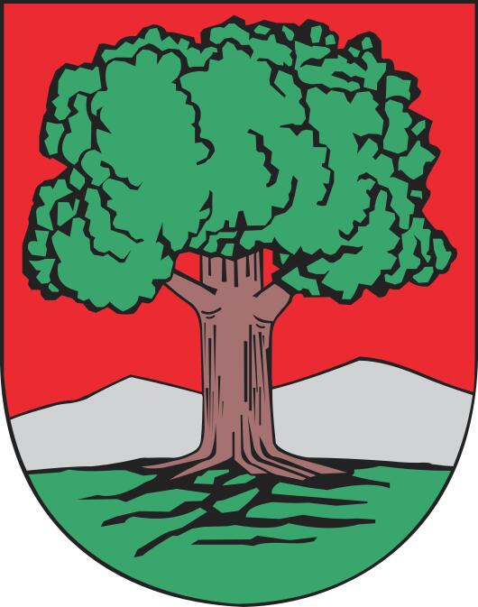 Vector drawing of coat of arms of Walbrzych City