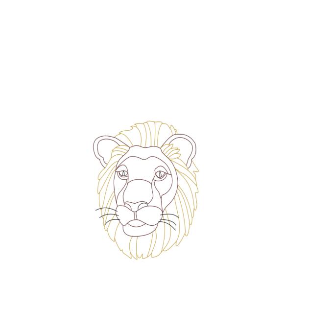 Lion's head coloring book vector image