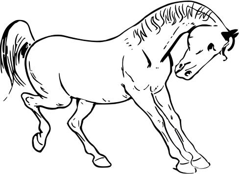 Prancing horse vector graphics