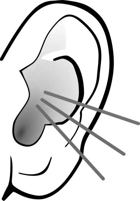 Vector graphics of grayscale listening ear