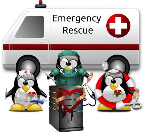 Linux tux fixing a Heartbleed bug vector clip art