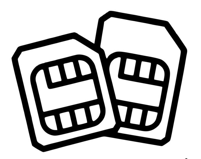 SIM cards vector image