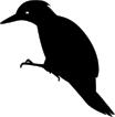 Yaffle silhouette vector illustration