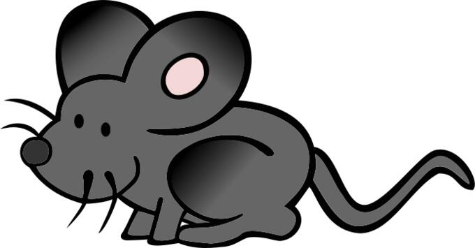 Vector image of hiding cartoon mouse