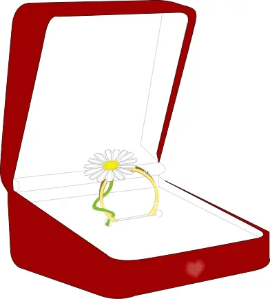 Vector illustration of ring box