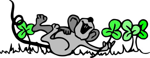 Mouse playing in shamrocks vector image