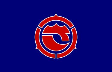 Official flag of Satomi vector drawing