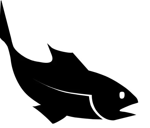 Black fish vector drawing