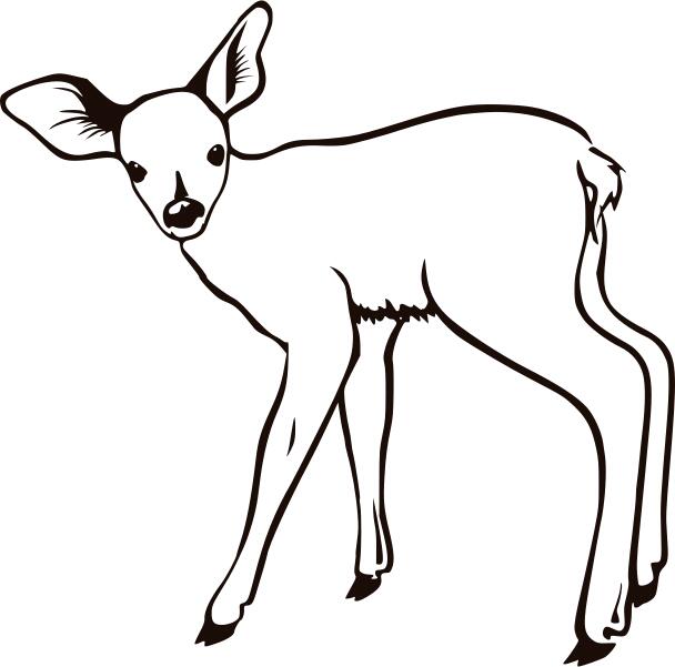 Fawn outline vector illustration