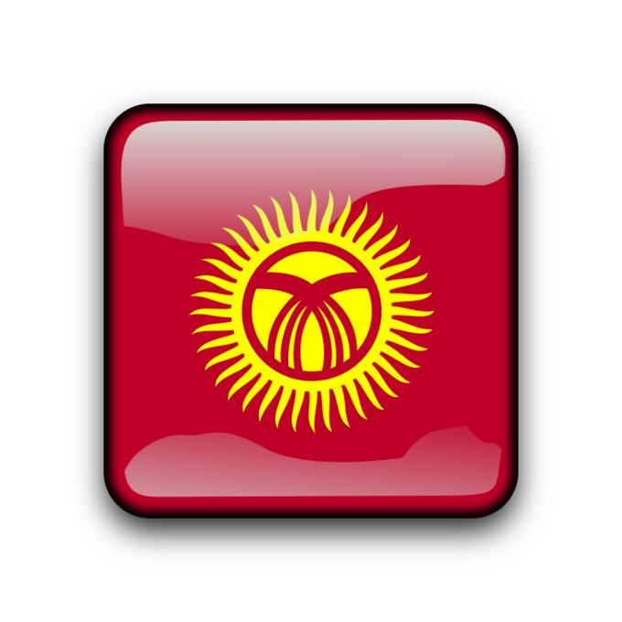 Kyrgyzstan flag vector