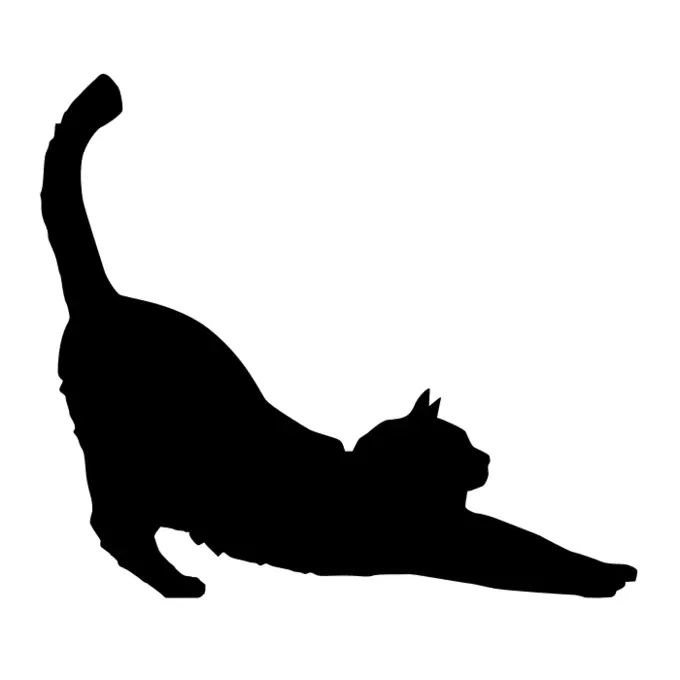Cat stretching silhouette vector image