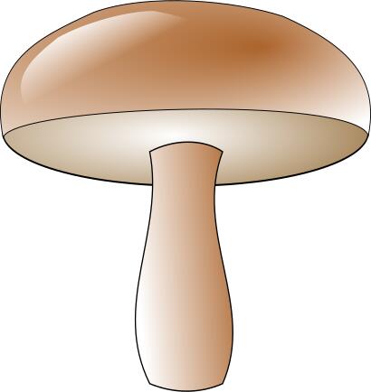 Champignon vector clip art