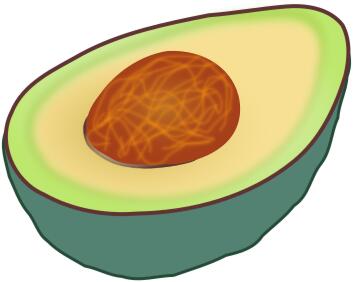 Avocado cut in half vector clip art