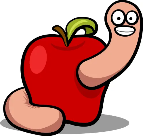 Vector drawing of cute worm in an apple