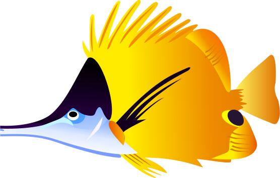 Black and yellow fish vector illustration