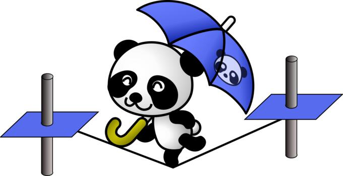 Panda on a tightrope vector image