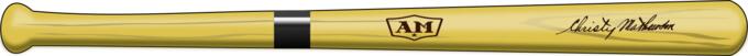 Vintage wooden baseball bat vector image
