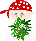 Vector image of marijuana user avatar