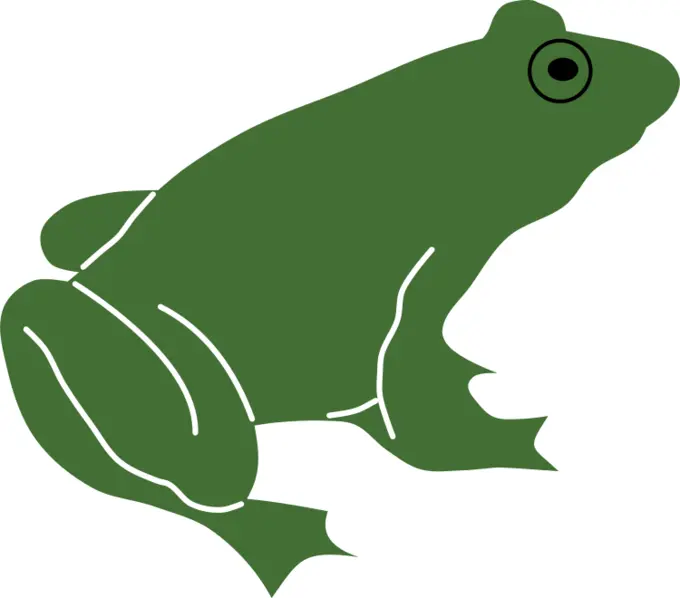 Frog silhouette with black eye vector image